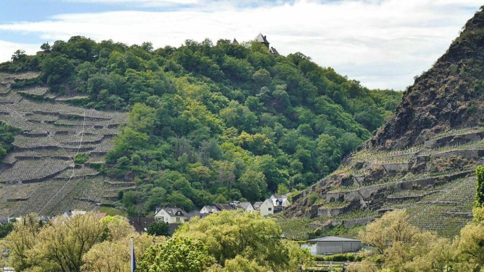 Ferienwohnung Dieblich An Der Mosel ภายนอก รูปภาพ