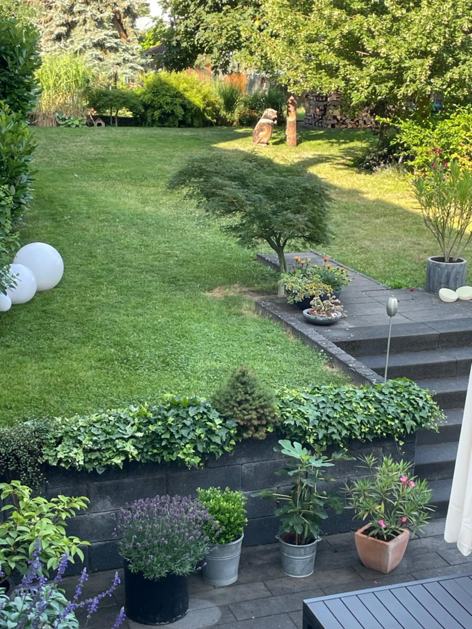 Ferienwohnung Dieblich An Der Mosel ภายนอก รูปภาพ